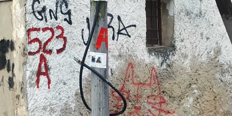 Las Mil Casas de Tolosa y un pedacito de su rica historia