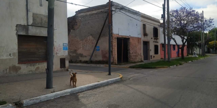 Las Mil Casas de Tolosa y un pedacito de su rica historia