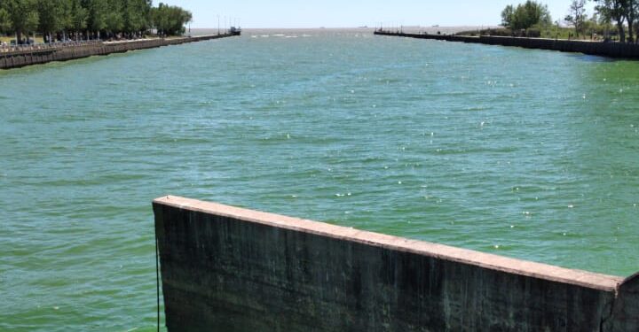 El agua verde en la zona de la Planta Potabilizadora de Punta Lara da un panorama del problema
