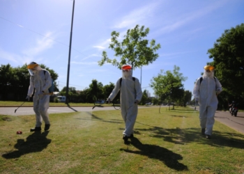 Campaña en la Ciudad y recomendaciones para prevenir el dengue