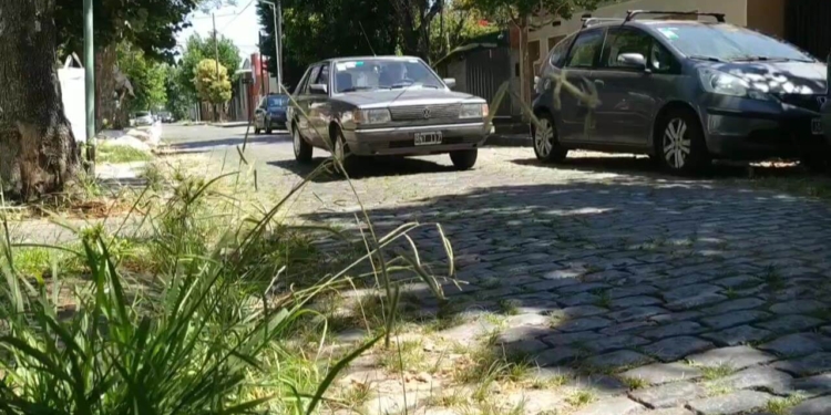 Tolosa tiene su rectángulo de convicciones graníticas