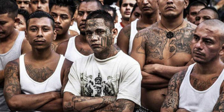 Con un número estimado de 70.000 miembros sólo en El Salvador, los integrantes de las maras, jóvenes tatuados,, representan una de las principales fuentes de ansiedad pública en la región.