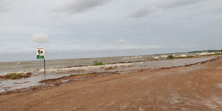 El río en la zona de Punta Lara ya está crecido pero el pico se espera hacia las 21 horas (foto Municipalidad de Ensenada)