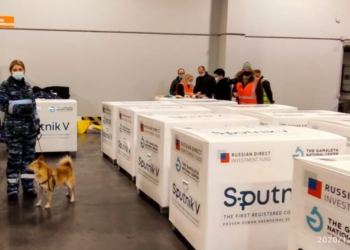 Salud informó que las reacciones a la Sputnik V «son leves»