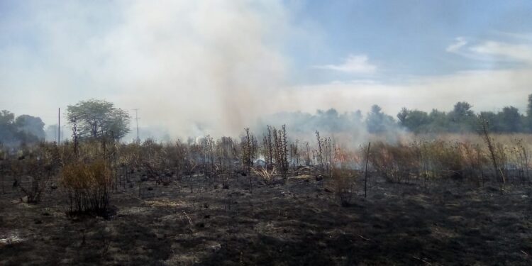 En San Carlos los incendios de descampados y basurales generaron humo tóxico