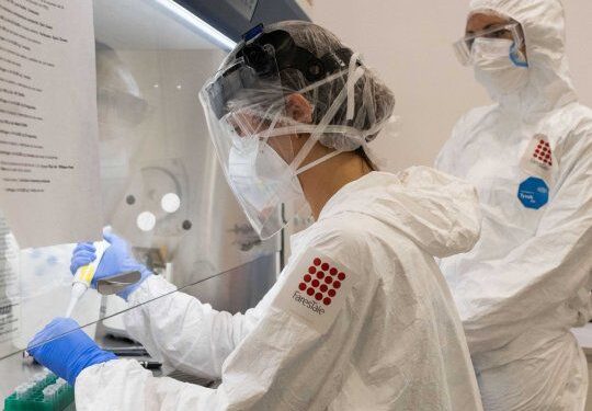 Avanza el desarrollo de una vacuna argentina contra el coronavirus en la Universidad de San Martín