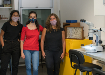 Detrás del microscopio: ¿quiénes estudian el mosquito que transmite el dengue en la Región?