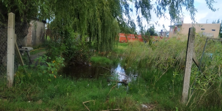 El Cambalache Platense