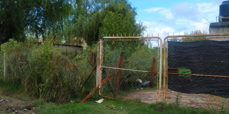 El Cambalache Platense