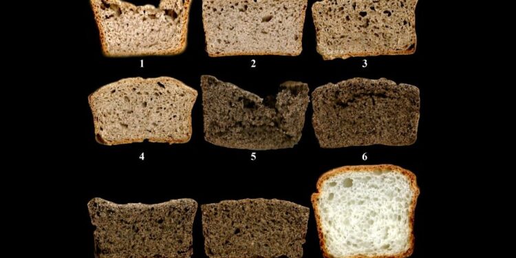Muestras de los panes elaborados a partir de las 8 premezclas y con la harina comercial (9). El pan elegido es el número 4