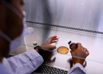 Convierten el residuo de la soja en un alimento nutritivo