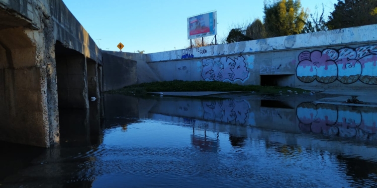 Agua podrida en el arroyo “El Gato” (video)