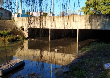 Agua podrida en el arroyo “El Gato” (video)