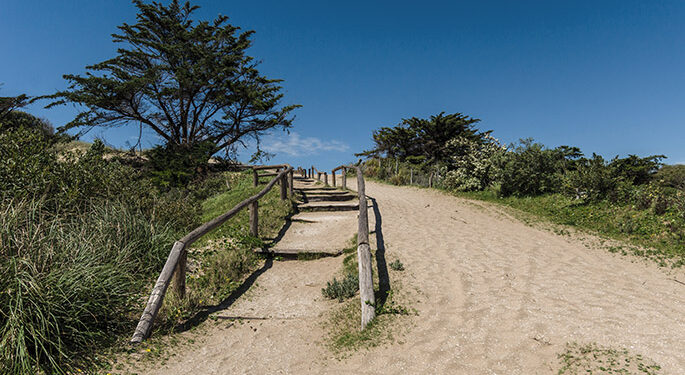 Mar de las Pampas, en Villa Gesell