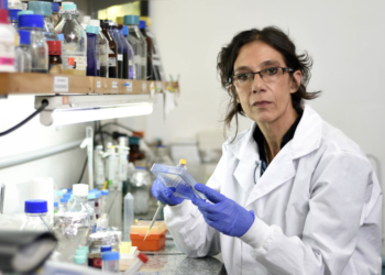 Claves para comprender por qué es efectiva la combinación de vacunas