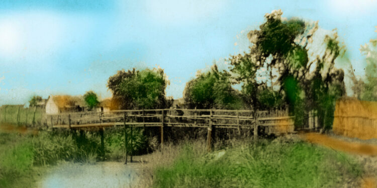 Campos de Ensenada 1913 (foto colección de Roberto Abrodos)