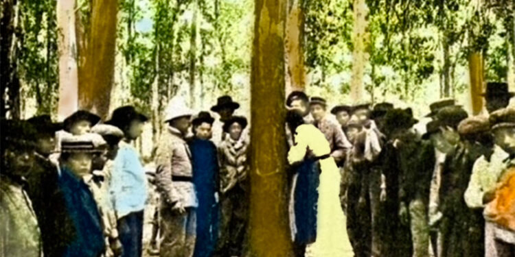 El eucalipto del Bosque, en 1903 (foto colección, Roberto Abrodos)
