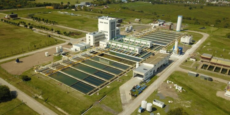 La planta potabilizadora de Punta Lara, otra vez con problemas por la presencia de algas