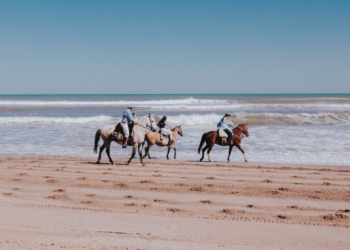 Playas para disfrutar de la temporada