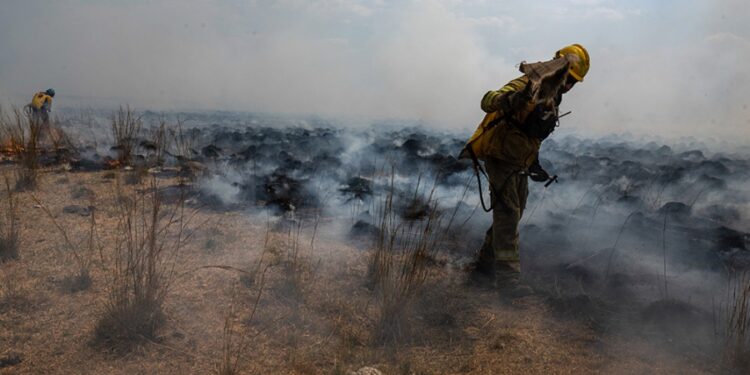 Incendios en Corrientes, la culpa es de todos