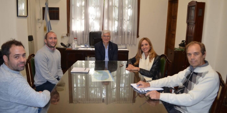 baterías de litio