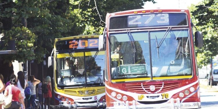 micros en la ciudad