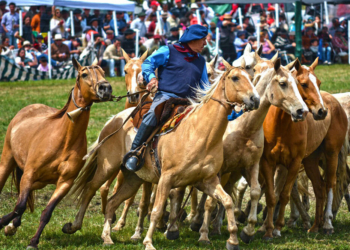 Un finde cargado de actividades en la Provincia