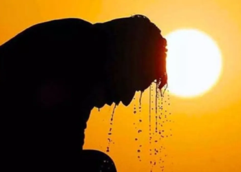 ¿Cómo cuidarse durante las olas de calor?