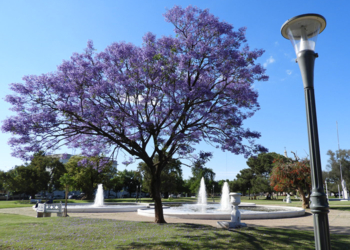 Microturismo en la Provincia: Especial Primavera