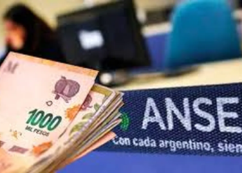 Cronograma de pagos de Anses en febrero