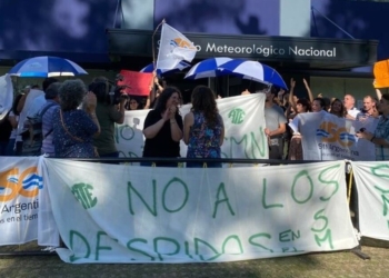 Estabilidad del empleo público vs despidos