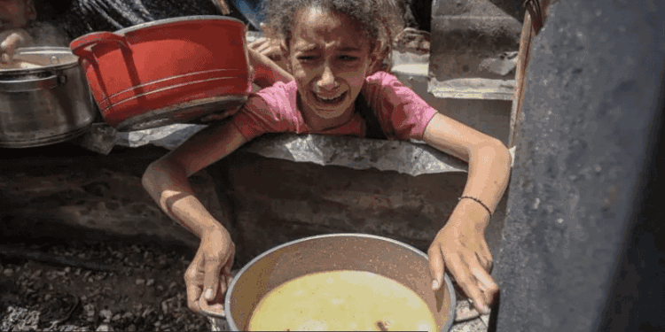 El bloqueo de ayuda humanitaria a Gaza ha provocado una hambruna, según las organizaciones internacionales (Crédito imagen: BBC)