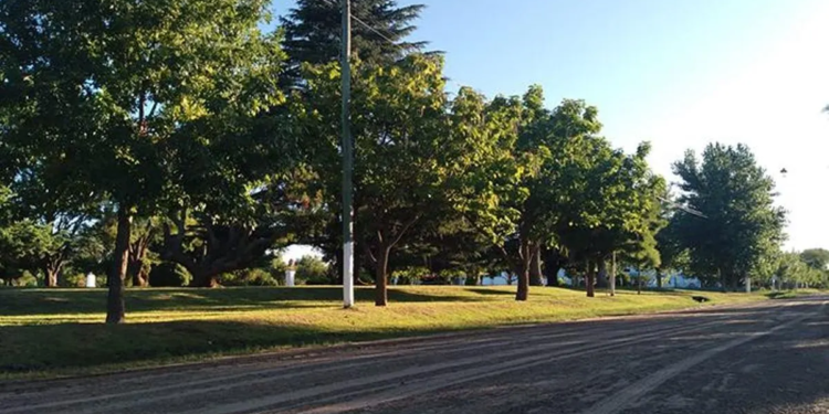 Toda la tranquilidad de Nueva Plata, en una foto. El pueblo fue creado en el corazón de Pehuajó por Rafael Hernández en 1888, a imagen y semejanza de la capital bonaerense