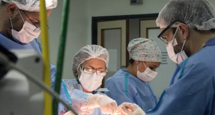 Entre 2019 y 2025, la provincia de Buenos Aires incrementó su aporte en 142 donantes, pasando de 235 a 377 donantes anuales, mientras que en el resto del país se registró una caída de 73 donantes en el mismo período