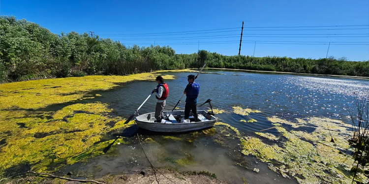 El CONICET La PLata y la Provincia analizan las canteras abandonadas como posibles sitios para la siembra de pejerreyes o para actividades de ecoturismo (Crédito foto: Prensa Conicet La Plata)