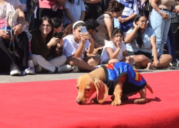 Se realizará un gran desfile de mascotas para toda la familia