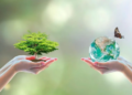 Día Mundial del Medio Ambiente: una invitación a repensar nuestra relación con la Casa Común