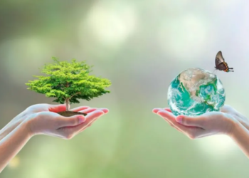 Día Mundial del Medio Ambiente: una invitación a repensar nuestra relación con la Casa Común