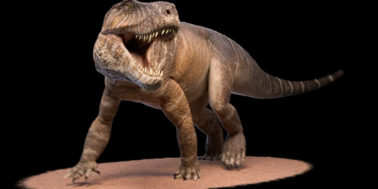 Descubren en La Rioja un gigantesco primo lejano de los cocodrilos