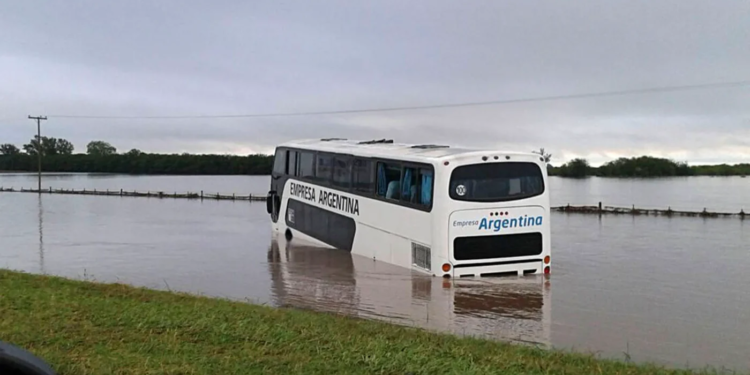 Birome, dulce de leche y un colectivo... que se hunde: la Argentina de Milei y sus secuaces
