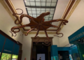Vacaciones de invierno en el Museo