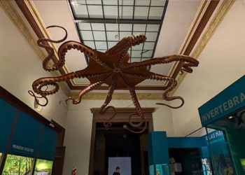 Vacaciones de invierno en el Museo