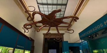 Vacaciones de invierno en el Museo