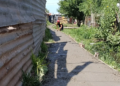 El CONICET La Plata acerca soluciones múltiples a los barrios vulnerables