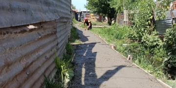 El CONICET La Plata acerca soluciones múltiples a los barrios vulnerables