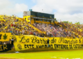 El modelo Flandria vs. el modelo Milei