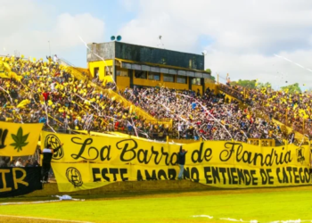 El modelo Flandria vs. el modelo Milei