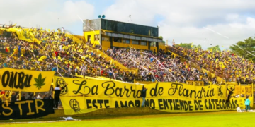 El modelo Flandria vs. el modelo Milei