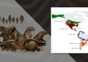 Estudio prueba que los primeros pobladores de América eran cazadores especializados de grandes mamíferos