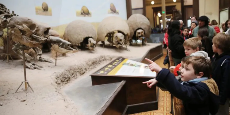 En las vacaciones de invierno, el Museo estará abierto del 18 de julio al 2 de agosto